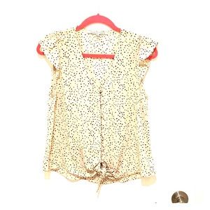 Collective concepts size small. New no tags